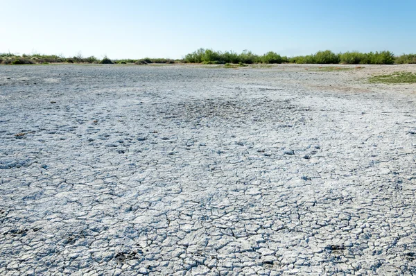 Steppe zoute bodems. Saline zout in zout. steppe prairie ve — Stockfoto