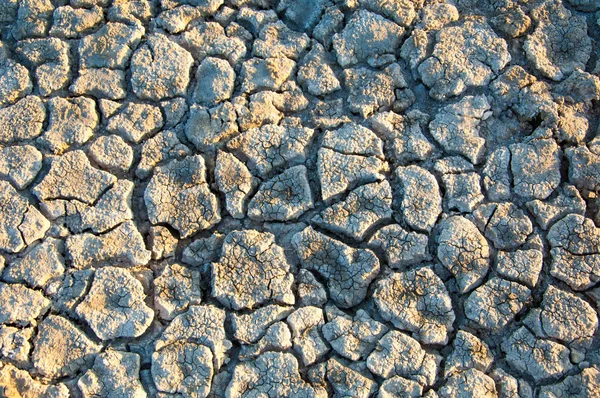 地面の亀裂 干ばつ 土壌浸食 ひび割れテクスチャ ひび割れ乾燥の地 — ストック写真