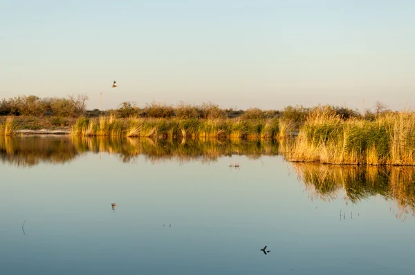 Piccolo lago sotto bel cielo, scena serale sul lago in steppa — Foto Stock