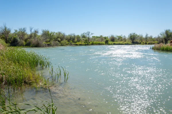 Steppe River Reeds Summer Views View River Small Blue River — Stock Photo, Image