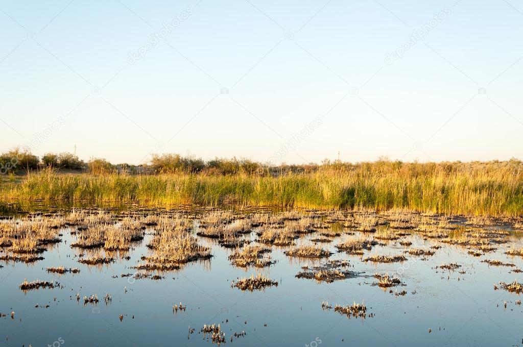 Small lake under nice sky, evening scene on lake in steppe