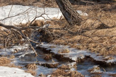 Brook bahar. güneşli bir bahar brooks suda eriyen doku. nehir dere dere. Bahar Nehri üzerinde buz erime. 