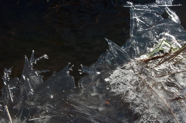 Texture Ice Congelato Una Pozzanghera — Foto Stock