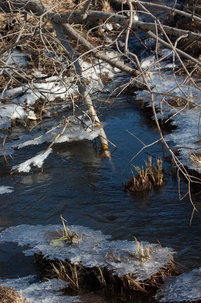 Textuur Ice Bevroren Een Plas — Stockfoto