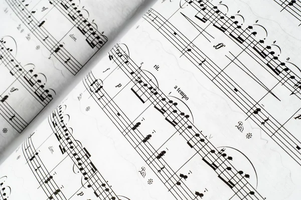 Not (müzik)