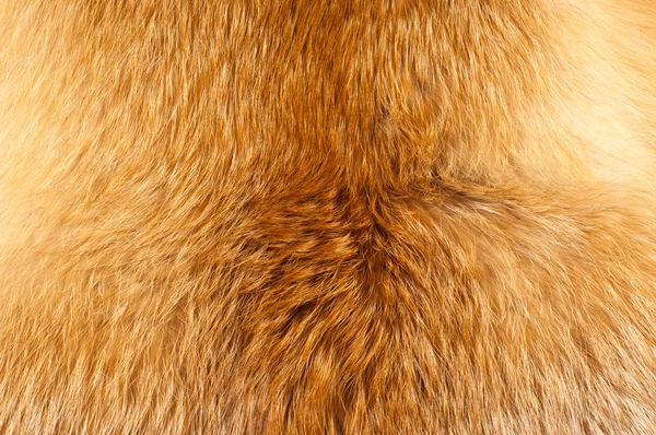 Texturen Rotes Fuchspelz Rotfuchs Zotteliges Felltexturtuch Abstrakt Pelzige Rostige Textur — Stockfoto