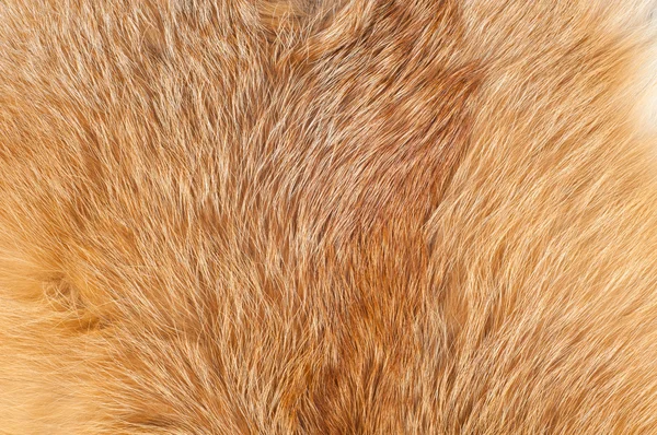 Υφές Κόκκινη Γούνα Αλεπούς Κόκκινο Αλεπού Μαλλιαρό Ύφασμα Υφή Γούνας — Φωτογραφία Αρχείου