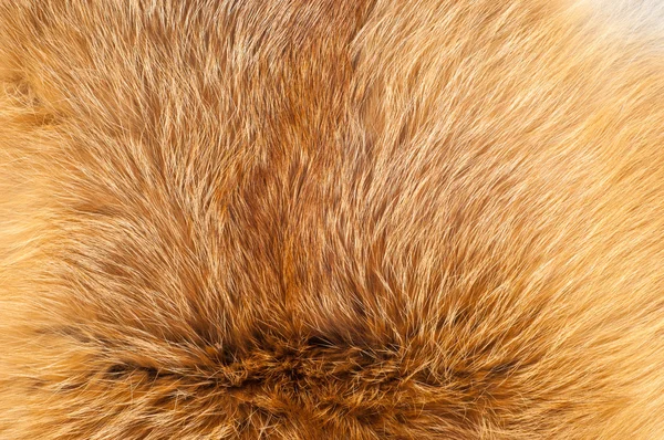 纹理红色狐狸毛 狐狸毛茸茸的毛绒布抽象 毛茸茸的锈蚀质感浅薄的表面 粗糙的毛皮背景在水平方向上 没有人 — 图库照片