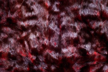 Hayvan kiraz çiçekleri vizon kürk