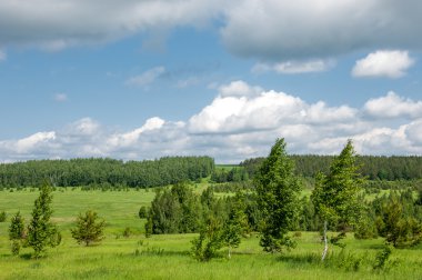 köpek-gül, briar, brier, pamukçuk-gül, eglantine
