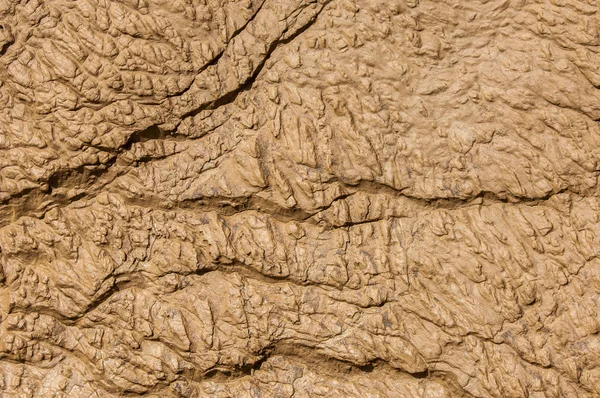 Texture Sludge Silt Clay Mud Ooze Slime — Stock Photo, Image