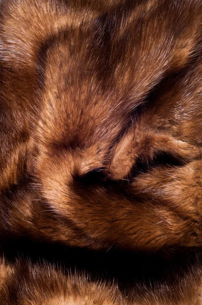 Mink fur animal — Stock Photo, Image
