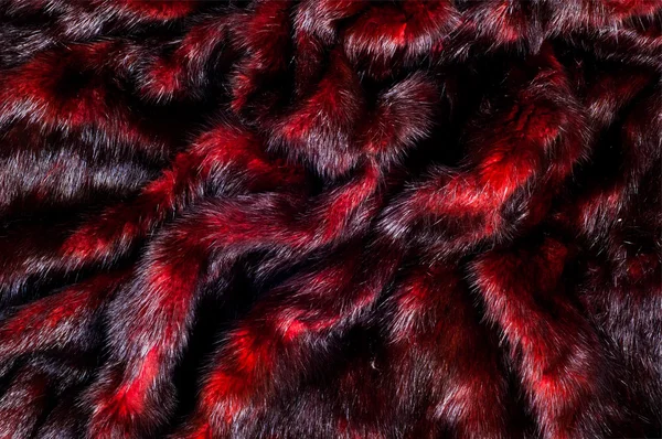 Mink fur animal cherry blossoms — Stock Photo, Image