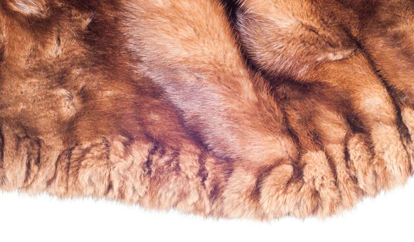 Pele de vison animal — Fotografia de Stock
