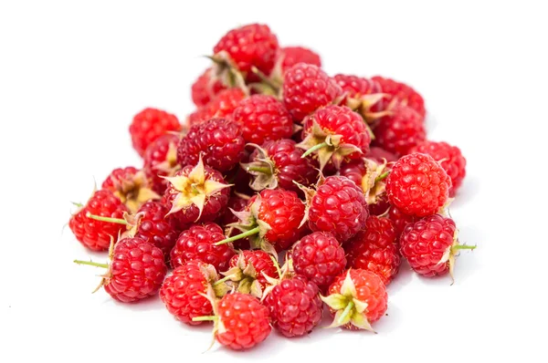 Raspberry, razz, fence, stash — Stock Photo, Image