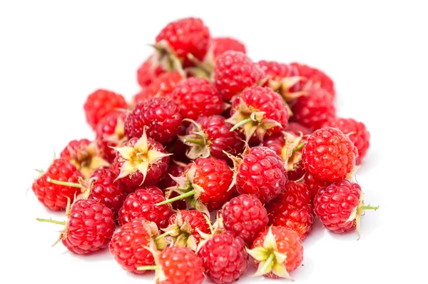 Raspberry, razz, fence, stash — Stock Photo, Image