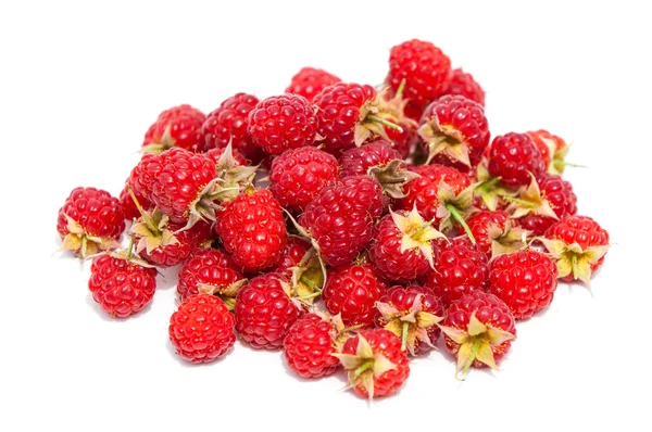 Raspberry, razz, fence, stash — Stock Photo, Image