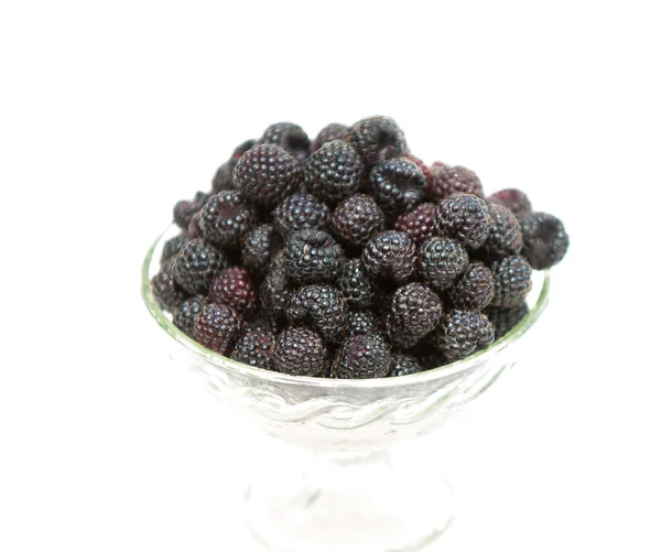 Schwarze Himbeeren — Stockfoto