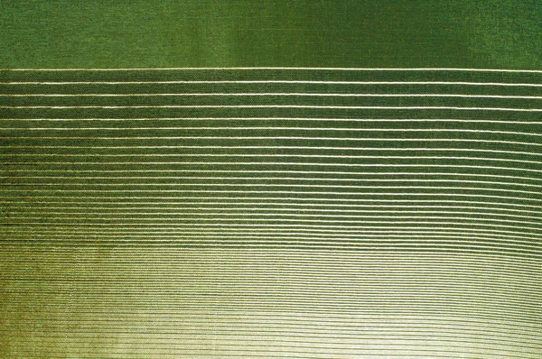 Textura de tecido de seda verde, coloração de salada — Fotografia de Stock