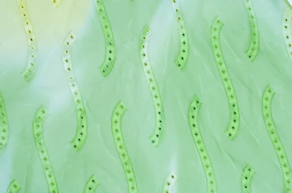 Текстура Шовкової Тканини Фон Зелений Жовтий Колір — стокове фото