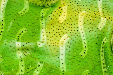 İpek kumaş dokusu, arka plan. yeşil ve sarı renk