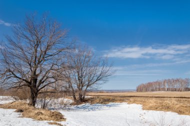 Bahar Orman, solmuş çimen, son kar, sp sıcak