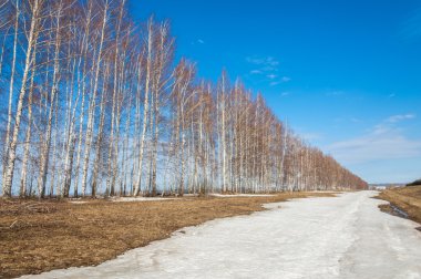 Bahar Orman, solmuş çimen, son kar, sp sıcak