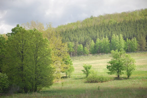 Sommerhimmel in den Wolken, Fluss — Stockfoto