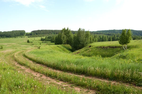 Summer country road — Stock Photo, Image