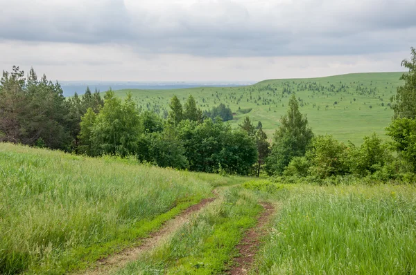 Summer country road — Stock Photo, Image