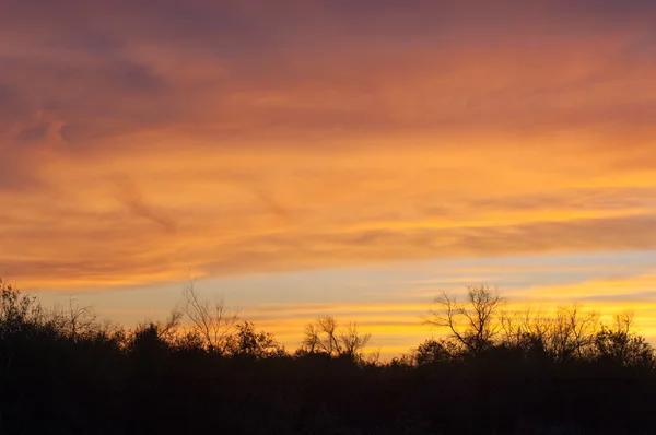 Yaz Bozkır Gün Batımı Güneş Doğuyor Fiery Sky Iyi Koruyucu — Stok fotoğraf