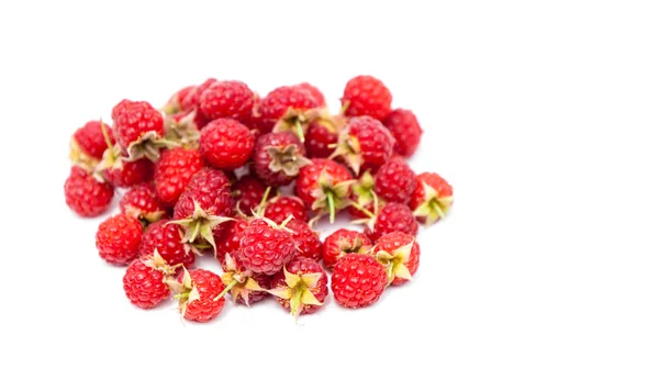 Framboos Een Eetbare Zacht Fruit Verband Met Blackberry Bestaande Uit — Stockfoto