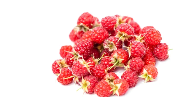 Málna Lágy Élelmezési Célra Alkalmas Gyümölcs Kapcsolódik Blackberry Álló Fürt — Stock Fotó