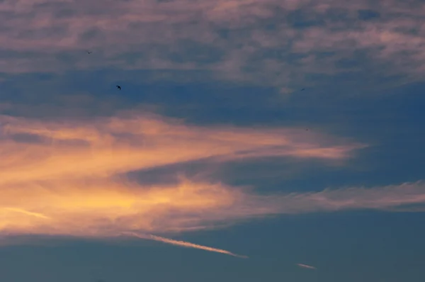 Sky Clouds Texture Background Dramatic Cotton Candy Sky Cloud Texture — Stock Photo, Image