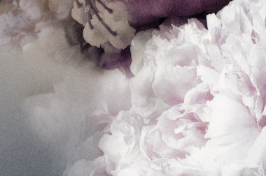 Beyaz çiçekli kumaş ipek soluk pembe. Çiçek kumaş arka plan, renkli retro GOBLEN Tekstil desen ile çiçek süsleme arka plan olarak yararlı parçası