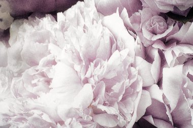 Beyaz çiçekli kumaş ipek soluk pembe. Çiçek kumaş arka plan, renkli retro GOBLEN Tekstil desen ile çiçek süsleme arka plan olarak yararlı parçası