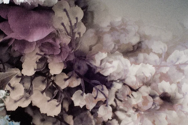织物丝浅粉色与白色的花 花织背景 五颜六色的复古挂毯纺织品图案的片段与花卉装饰有用的背景 — 图库照片