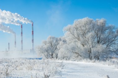 CHP. birleştirilmiş ısı ve güç, bir sistem hangi buhar elektrik üretimi bir yan ürünü kullanılır gibi bir güç istasyonu üretilen ısı binalar yakın.