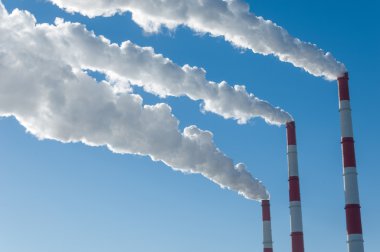 CHP. birleştirilmiş ısı ve güç, bir sistem hangi buhar elektrik üretimi bir yan ürünü kullanılır gibi bir güç istasyonu üretilen ısı binalar yakın.