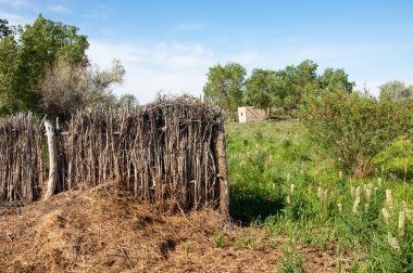çöl, vahşi, kumlar, ıssızlık, atık, sahara. Hayvancılık, özellikle sığır veya ata, bir çiftlik veya ahır için bir kalem. su bulunduğu bir çölde bereketli bir nokta.