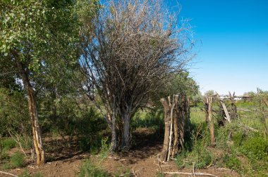 çöl, vahşi, kumlar, ıssızlık, atık, sahara. Hayvancılık, özellikle sığır veya ata, bir çiftlik veya ahır için bir kalem. su bulunduğu bir çölde bereketli bir nokta.