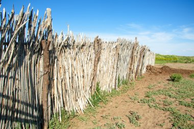 çöl, vahşi, kumlar, ıssızlık, atık, sahara. Hayvancılık, özellikle sığır veya ata, bir çiftlik veya ahır için bir kalem. su bulunduğu bir çölde bereketli bir nokta.