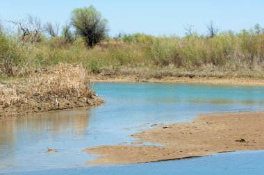 Bozkır nehir sazlık yaz. nehir görünümünde kez izlendi. küçük mavi nehir kıyısında güneşli bir gün