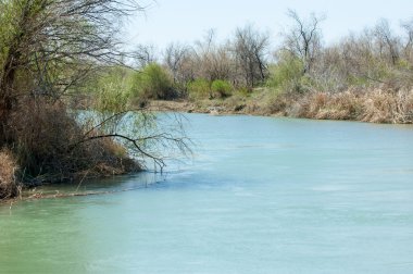 Bozkır nehir sazlık yaz. nehir görünümünde kez izlendi. küçük mavi nehir kıyısında güneşli bir gün