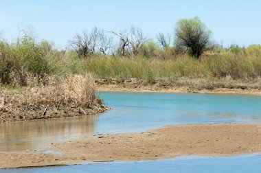 Bozkır nehir sazlık yaz. nehir görünümünde kez izlendi. küçük mavi nehir kıyısında güneşli bir gün