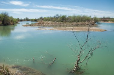 Bozkır nehir sazlık yaz. nehir görünümünde kez izlendi. küçük mavi nehir kıyısında güneşli bir gün