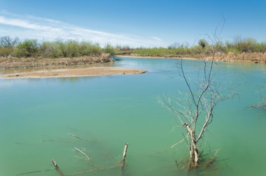 Bozkır nehir sazlık yaz. nehir görünümünde kez izlendi. küçük mavi nehir kıyısında güneşli bir gün