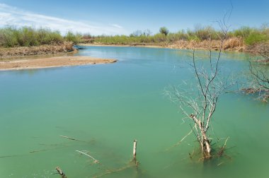 Bozkır nehir sazlık yaz. nehir görünümünde kez izlendi. küçük mavi nehir kıyısında güneşli bir gün