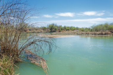 Bozkır nehir sazlık yaz. nehir görünümünde kez izlendi. küçük mavi nehir kıyısında güneşli bir gün
