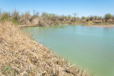 Bozkır nehir sazlık yaz. nehir görünümünde kez izlendi. küçük mavi nehir kıyısında güneşli bir gün